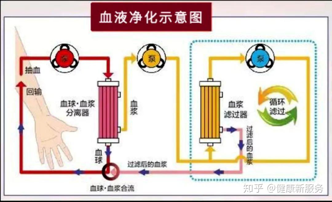 祛除病源,深层净化血液清除血液内积存的毒素和病变细胞,自由基,油脂