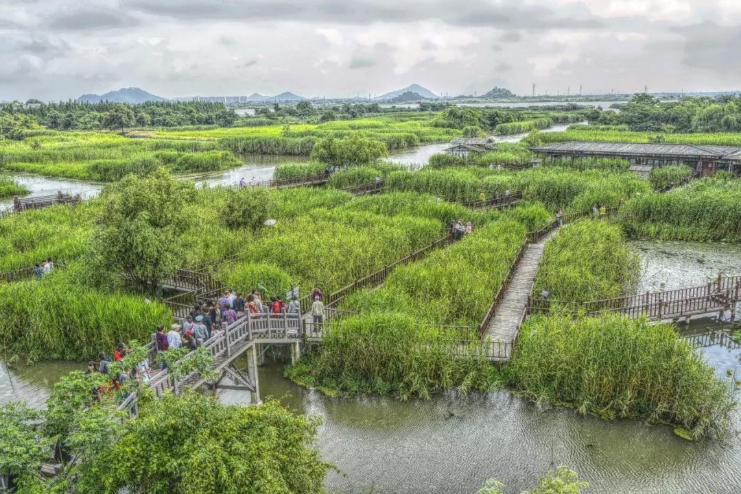 清明小长假将至来看看上海周边的自驾轻旅行之选吧