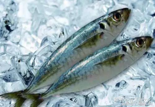 科普某些能吃的鱼,如何让我今晚就想「再去」尝鲜? - 知乎