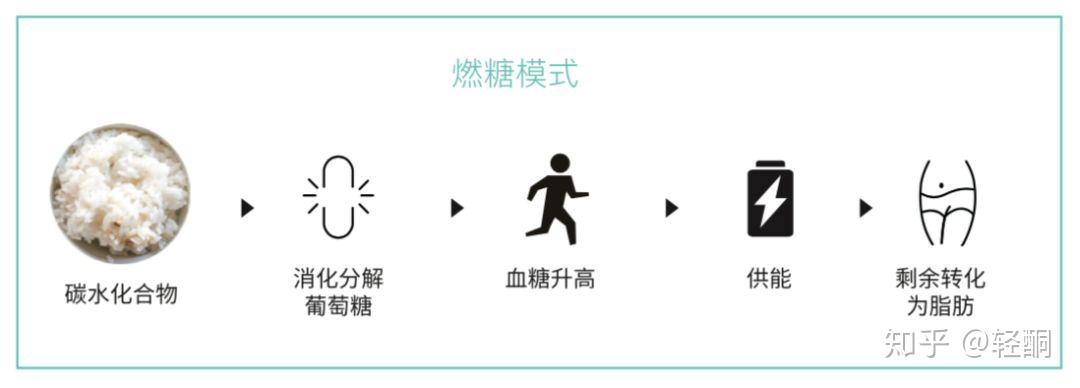 以碳水化合物类高的食物为主食1 燃糖模式人体有两种供能模式,分别是