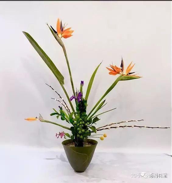 划重点了！五分钟让你了解日式立花 - 知乎