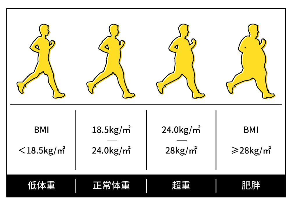 其實,回答這個問題之前,我們需要衡量一個人的胖瘦標準.