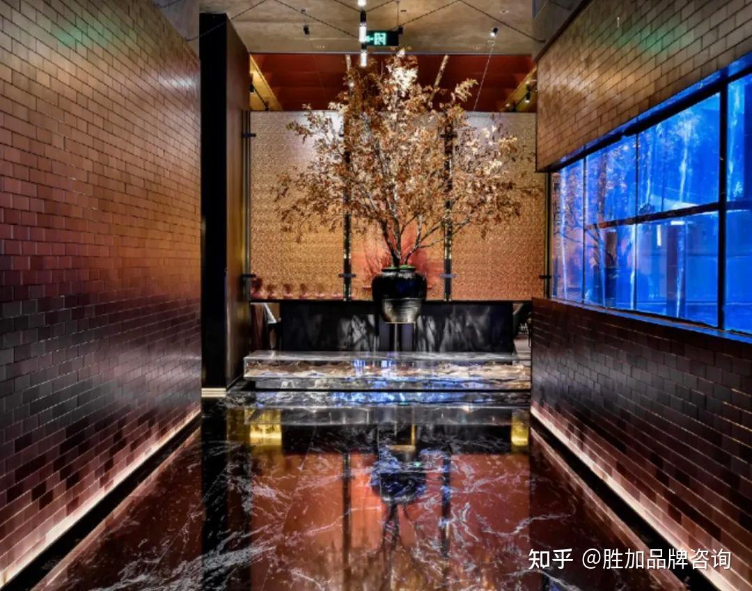 专注经典粤菜30+年|唐宫北京上海双店同开 闪耀启程 - 知乎