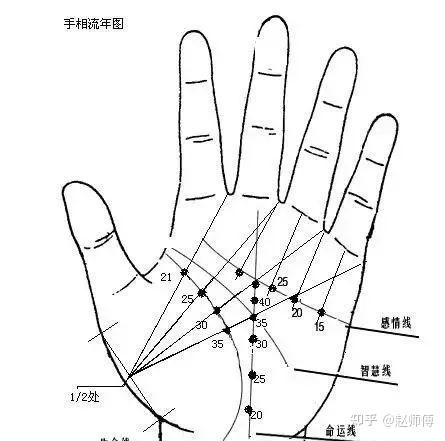 玉掌流手相大全 手相图解大全，零基础，读三遍9分钟就会了 - 知乎