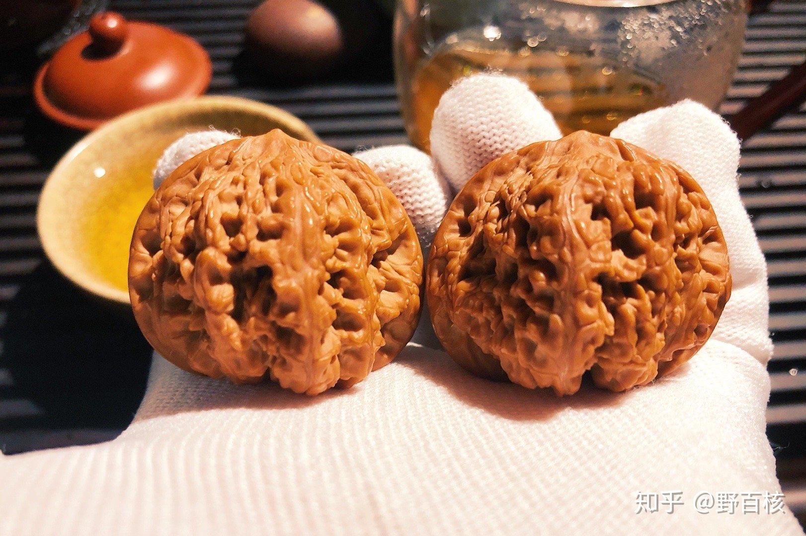 野生龙洞峪老款闷尖狮子头