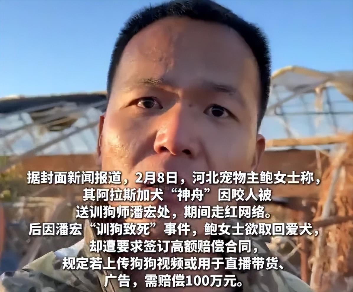 “训狗一哥”潘宏又出事,要求主人签“百万赔偿合同”,这事你站谁? - 知乎