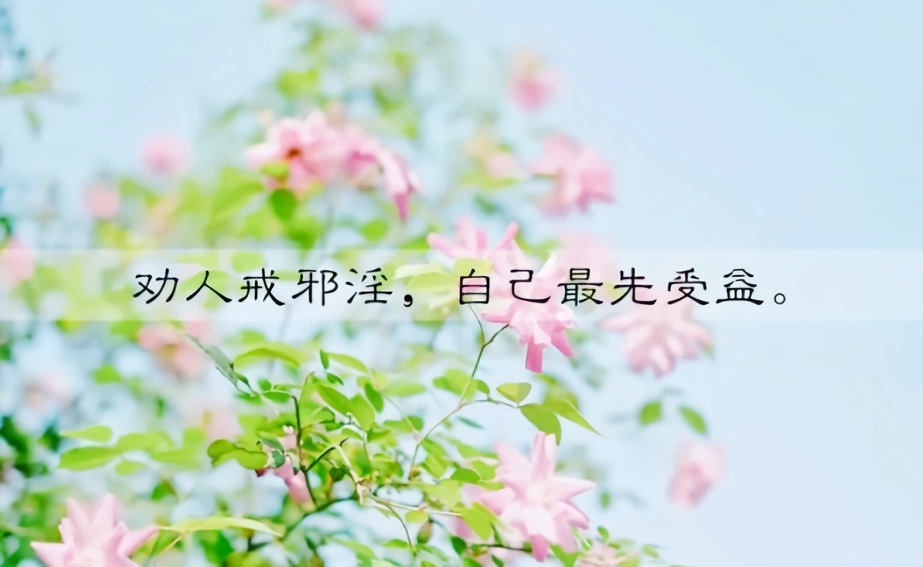 不管你看了多少戒色文章,最终的结果就是断除恶念.