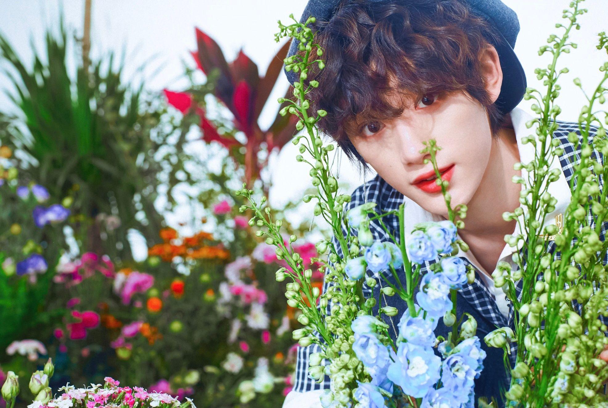 有没有tnt时代少年团的神图