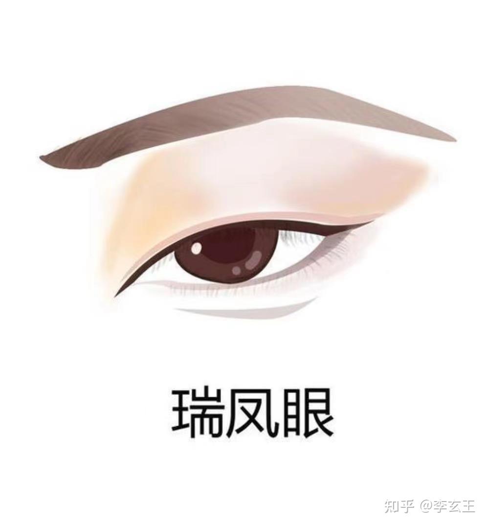 常见眼型解析,你了解自己的眼型吗? - 知乎