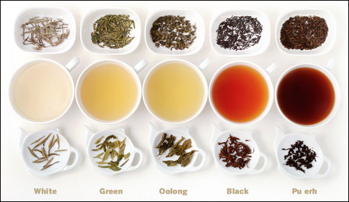 各类茶,到底喝什么?