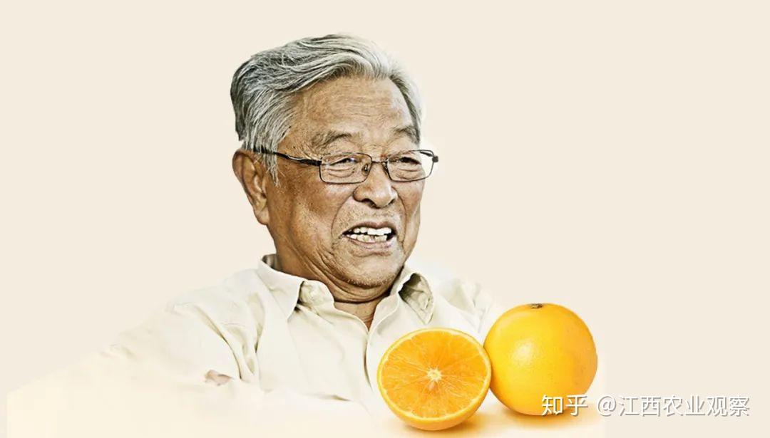 在褚时健90多岁功成名就时,人们也常常在云南玉溪大营街附近的菜市场
