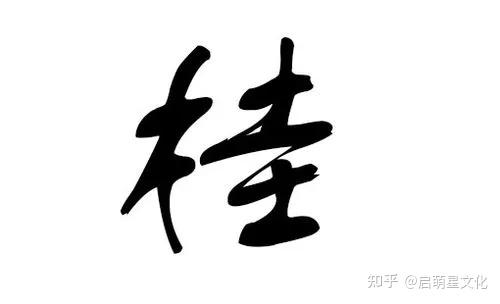 姓桂的女孩名字大全