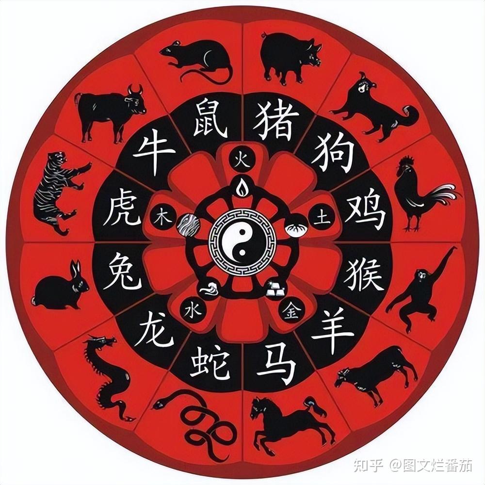 龙年将至老人们口中的辰龙低头哭鼠猴穿红衣是什么意思