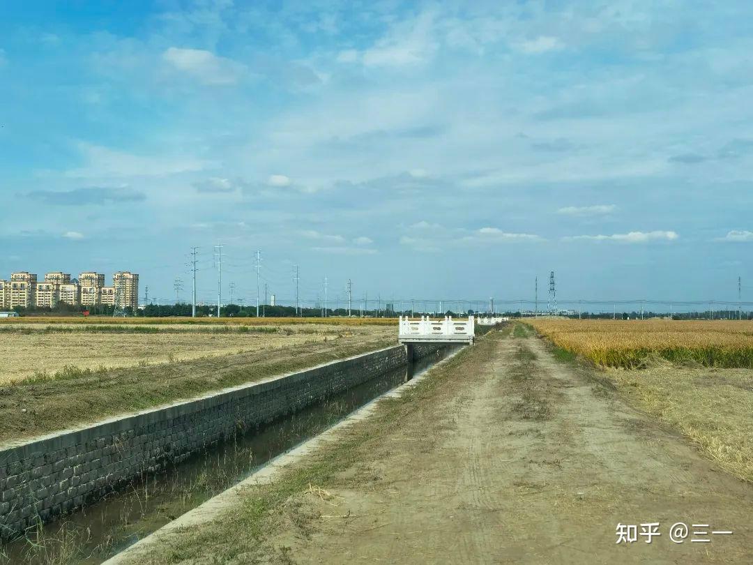 攻坚一线|海安开发区:农田+生态沟渠+生态缓冲带=退水“零直排” - 知乎
