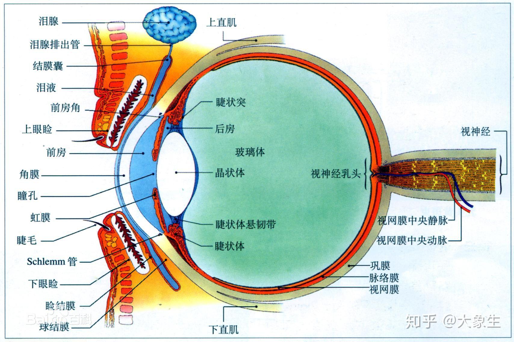 科学护理眼部肌肤的方法__凤凰网