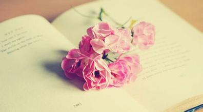 v2-058a08f4908a69fbb6f3011c7722fdea_1440w.jpg?source=172ae18b