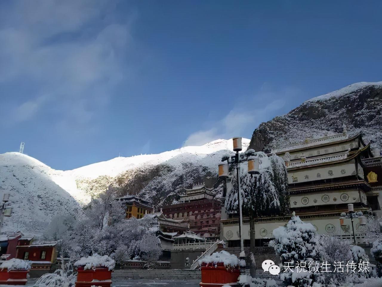 冬春游武威五生态冬景游