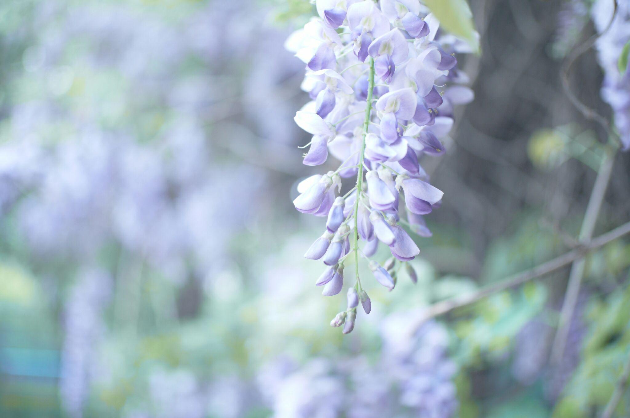 拿微单相机拍人的技巧?