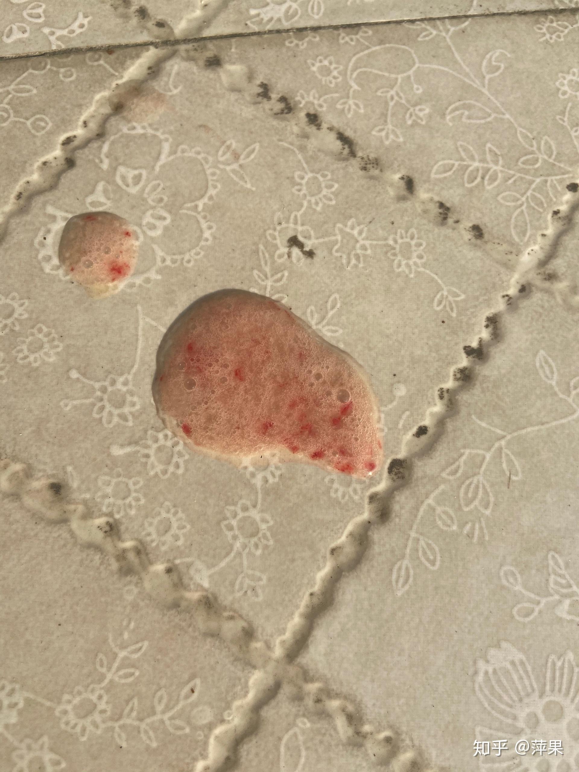 狗狗胰腺炎求助