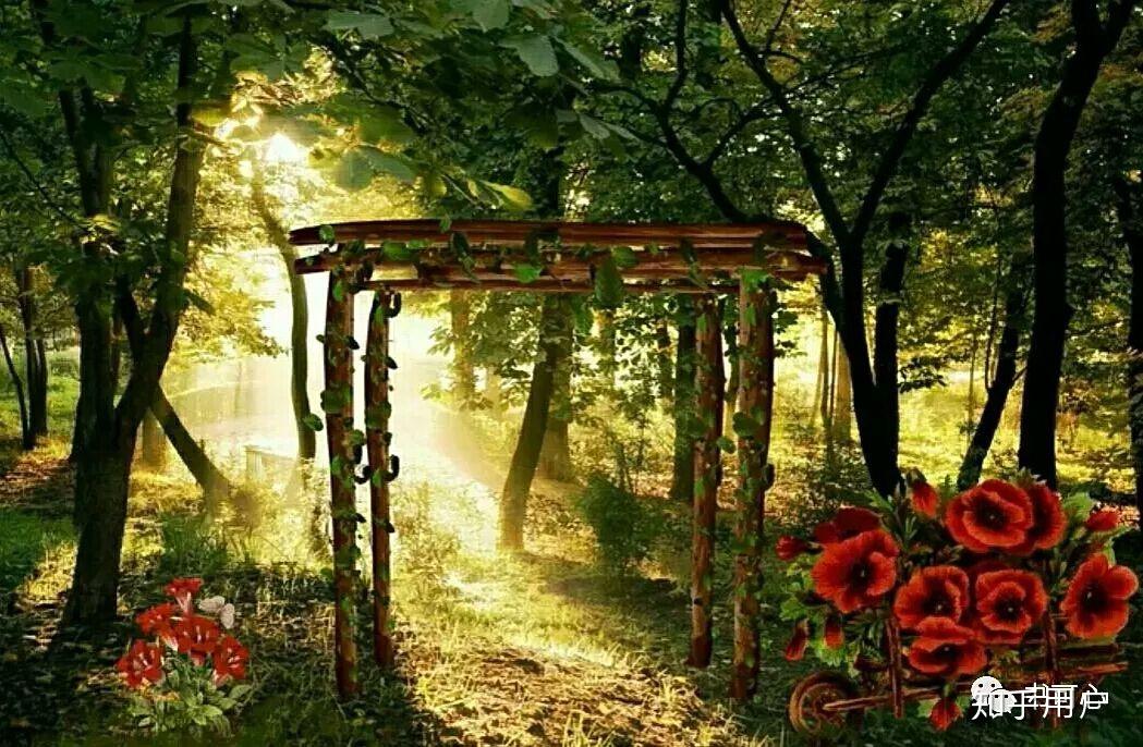 梦中人,有什么一下让你豁然开朗或是能骂醒你