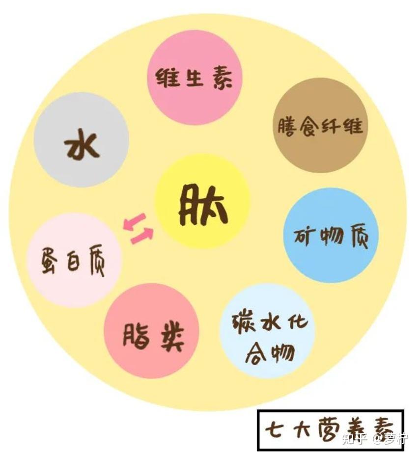 韩剧live