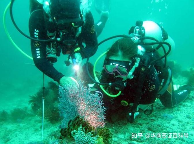 菲律宾海豚湾精美图片感受落霞与孤鹜齐飞秋水共长天一色的美