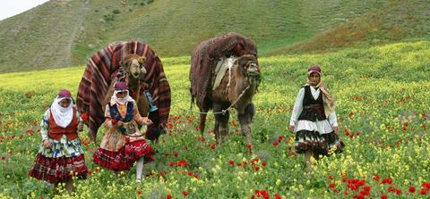 语民族(大不里士) 库尔德人2:42 西部主体民族 马赞德兰人/塔巴里人3