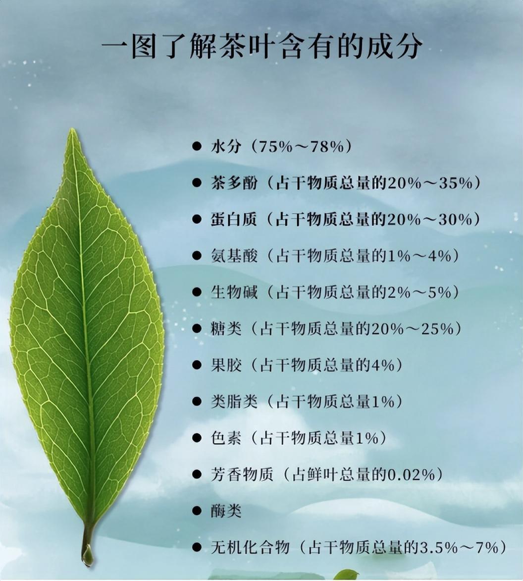 茶叶种类图片对照图片