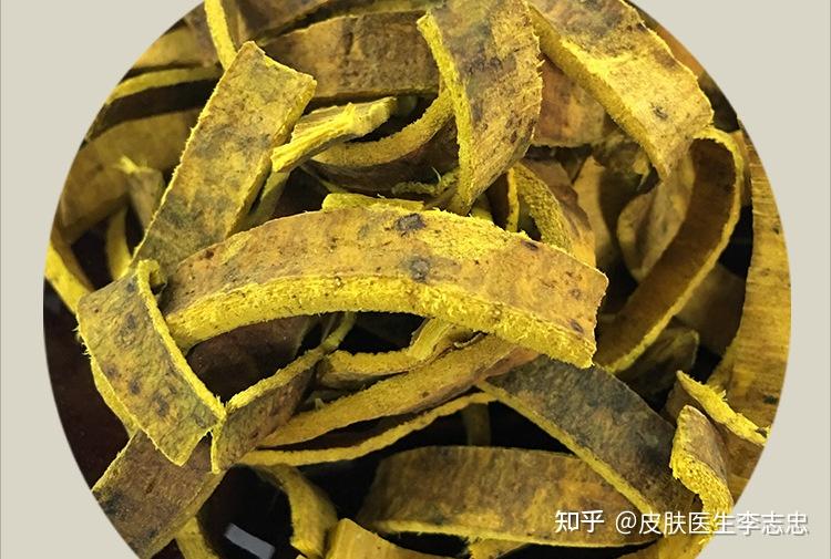 一味“黄柏”,居然可治10种皮肤病! - 知乎