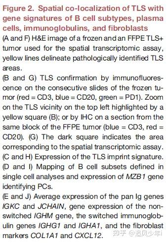 全球首篇FFPE空间转录组分析揭示了肾细胞癌中三级淋巴结构抗肿瘤机制 - 知乎