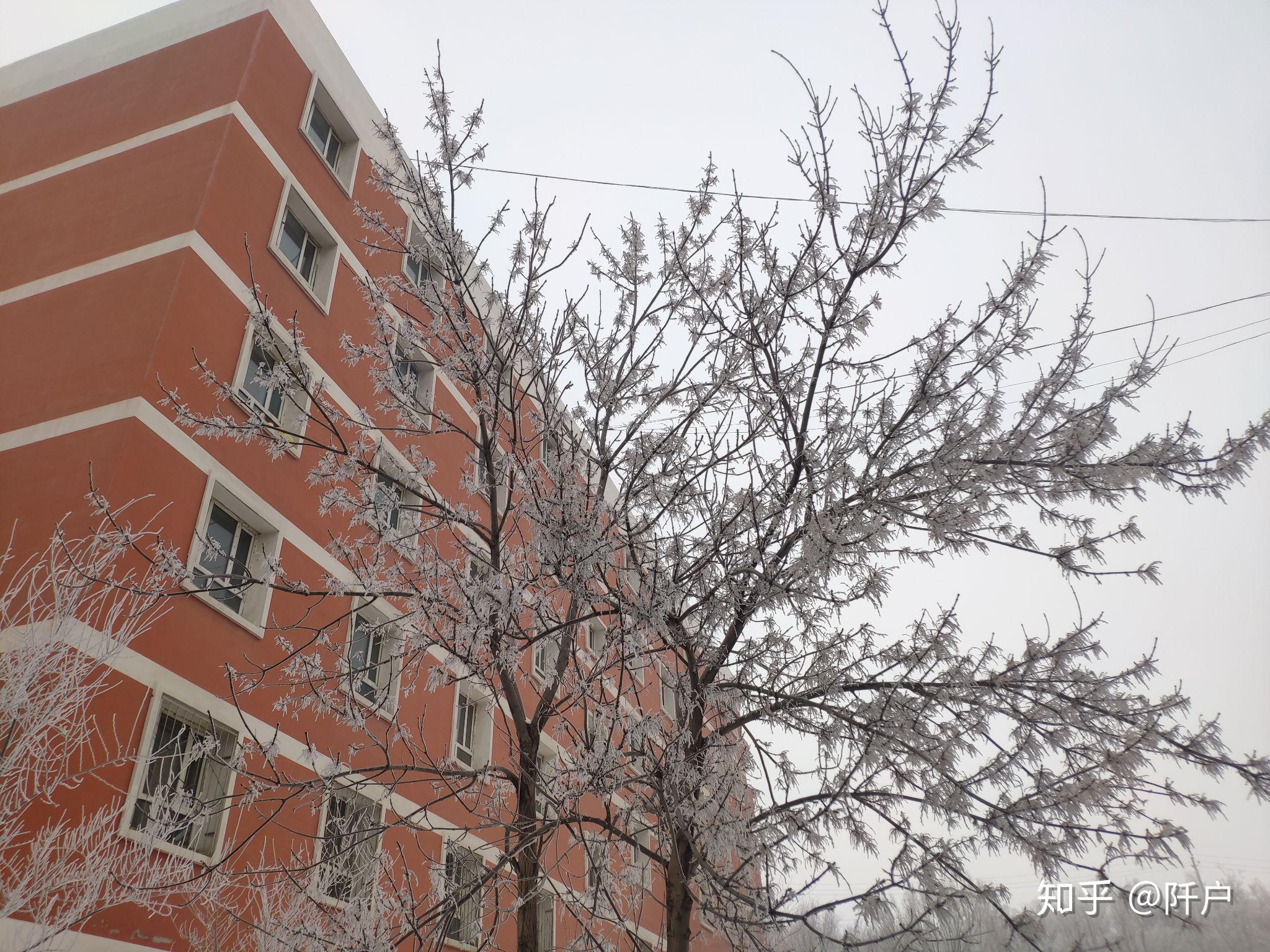 大家觉得新疆大学怎么样,如果考研第一志愿报