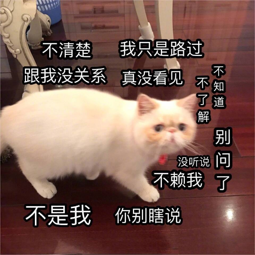 办了 6 张流量卡,踩了 4 个坑,我写了个工具专门扒代理的话术