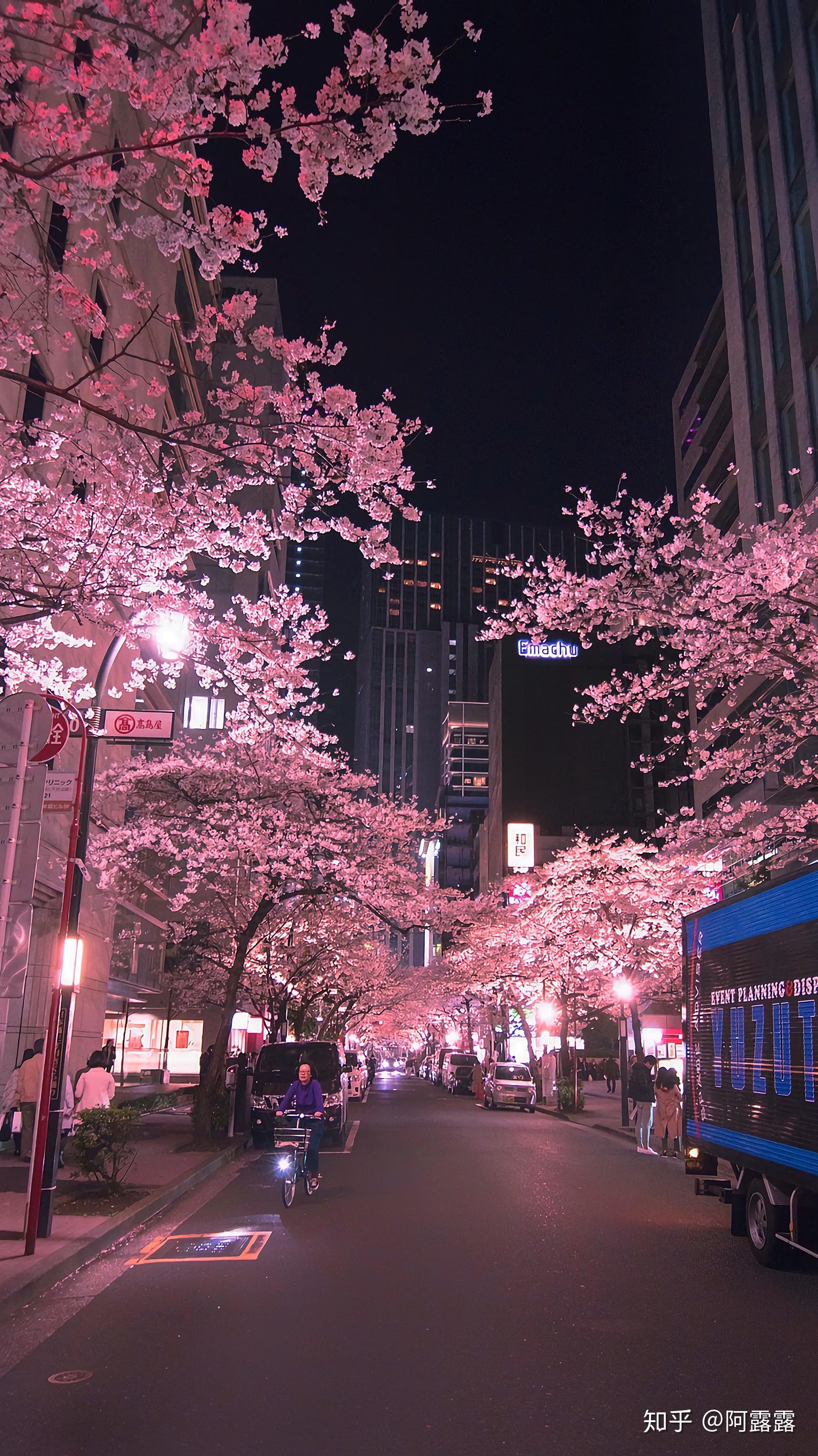 有哪些以日本的街道或者风景为背景的手机壁纸