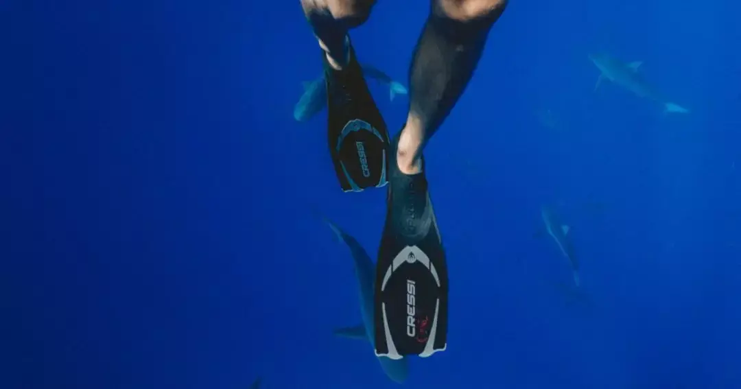 练腿只会深蹲,8组练腿动作让你提升跑步速度