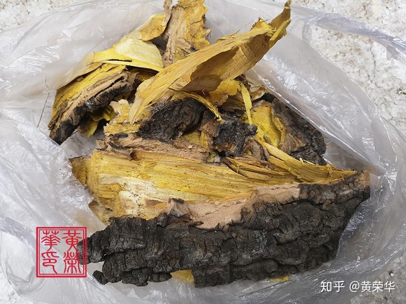 植物染料关黄柏