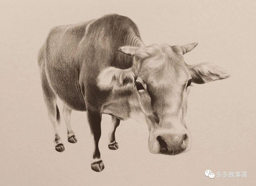 冬梅放了几年牛,跟老黄牛感情深厚,听说柳氏和妹妹要卖牛,她心中十分