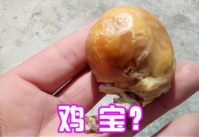 商贩为何喜欢高价收购10年以上的老母鸡细说你不知道的3点秘密