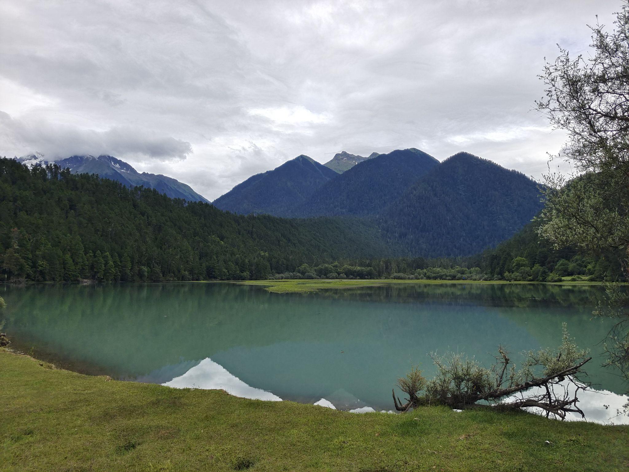 草湖三分模样,七分想象山神头像小花巨大的松塔这算是正式进入岗云杉
