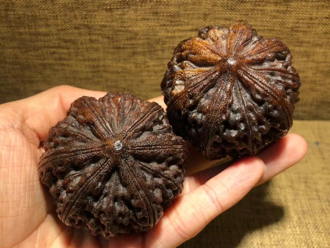 犀牛角火烧什么味道? - 知乎