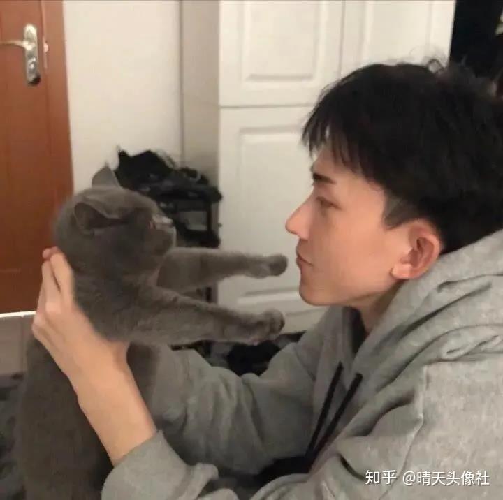 有哪些很耐看的猫系男生头像?