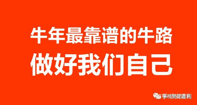 安道利2021驾校牛年的牛路在哪里