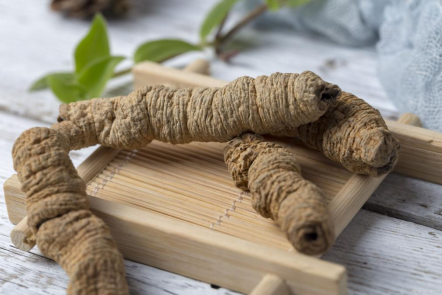 道地药材 | 中国十大道地药材产区—广药 - 知乎