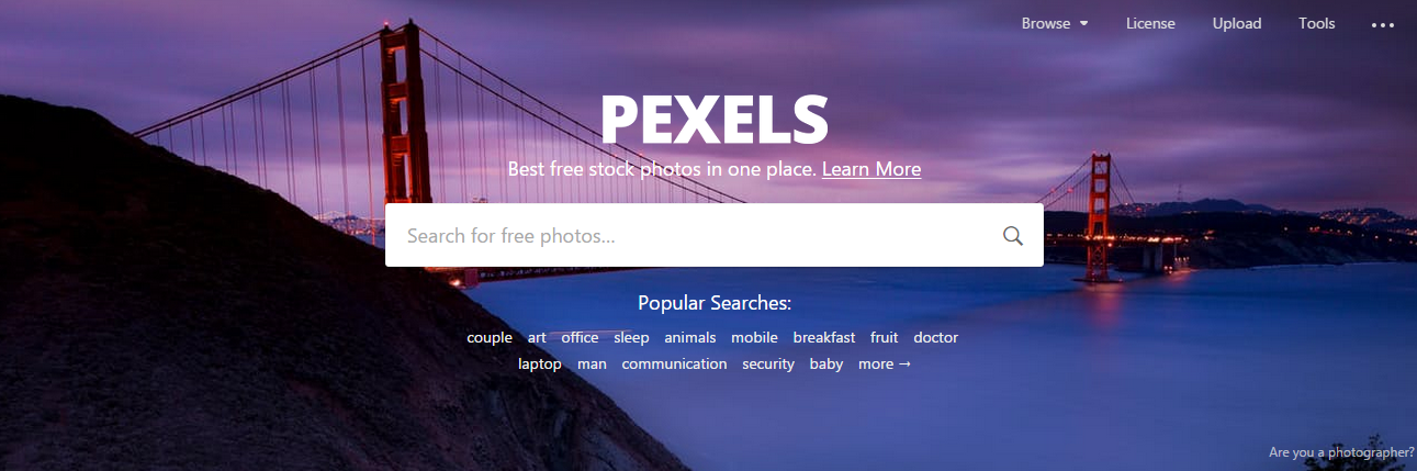 pexels免费图片分享图片