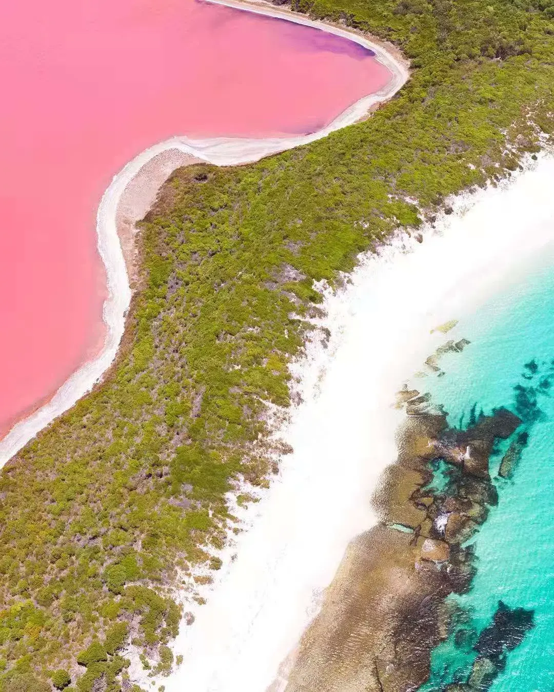 位于澳大利亚的赫利尔湖，湖水呈粉红色|湖水|赫利|尔湖_新浪新闻