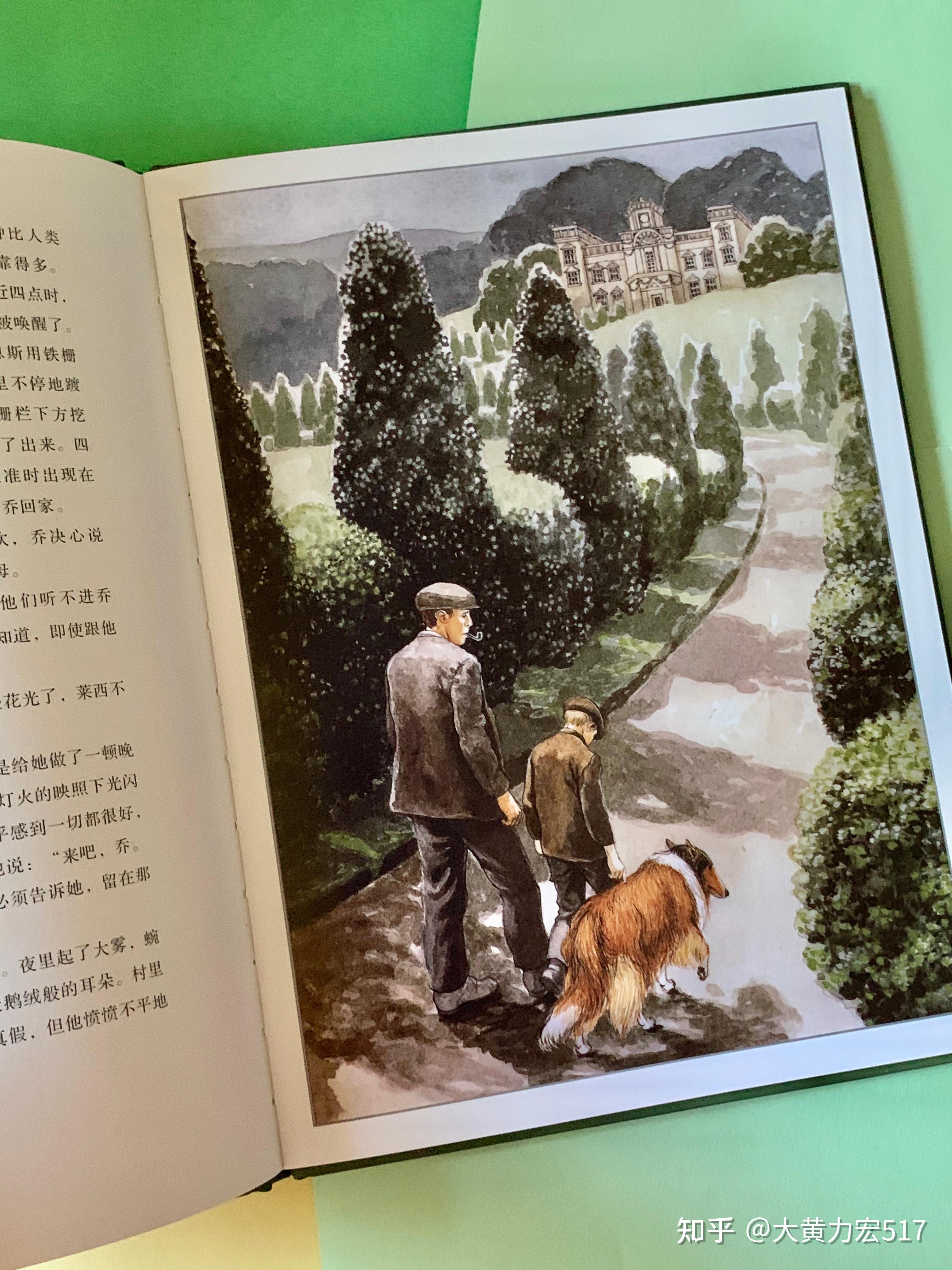 好喜欢这只灵犬莱西