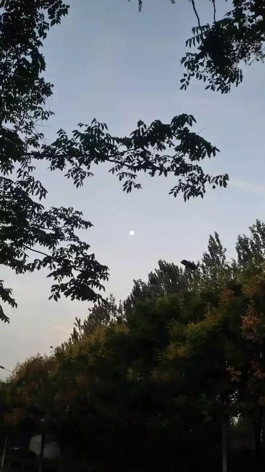 寒月 - 知乎