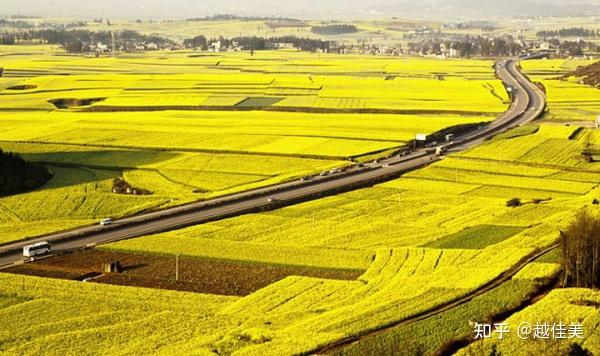 红河平原我们知道越南主体京族也是个"稻作民族" ,是世界上最早种植