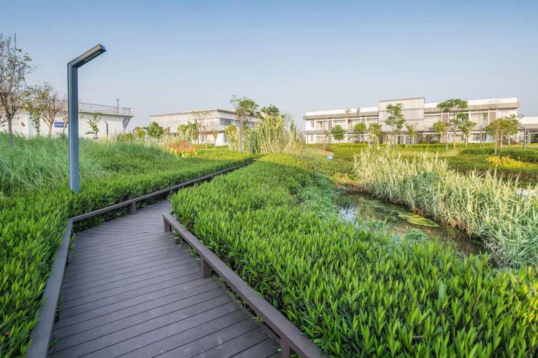 广州增城再生水厂景观设计 - 知乎