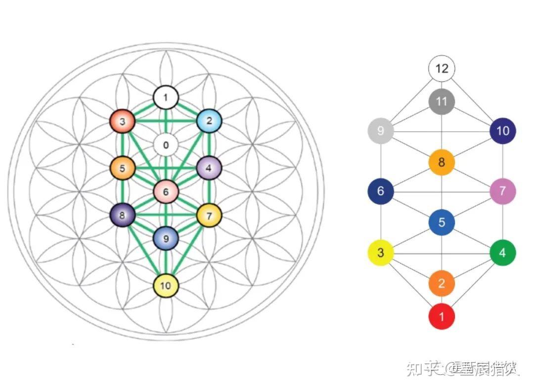 生命之花的真相是透特散布的死亡之花(超越矩阵-神圣几何五) - 知乎