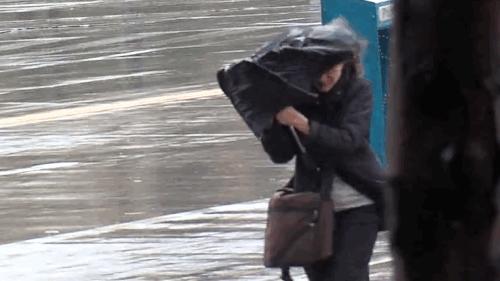 10年一跃成为伞中“黑马”,一年卖出200万把,风雨越大越有用 - 知乎